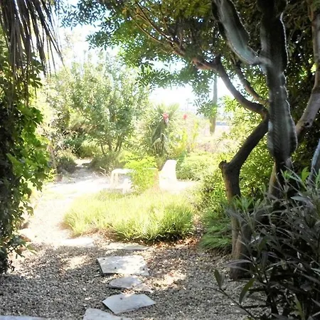 Serenity Villa